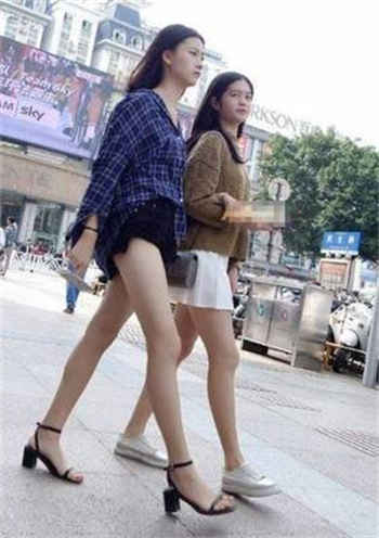 新兔子网页
