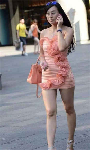 能看所有小说的软件