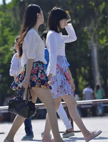 sw493里面是谁