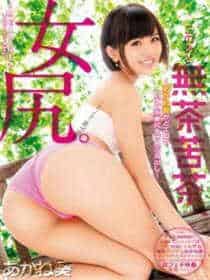 倾倾player破解版